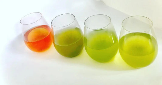 Discover the Different Types of Japanese Green Tea 🍃