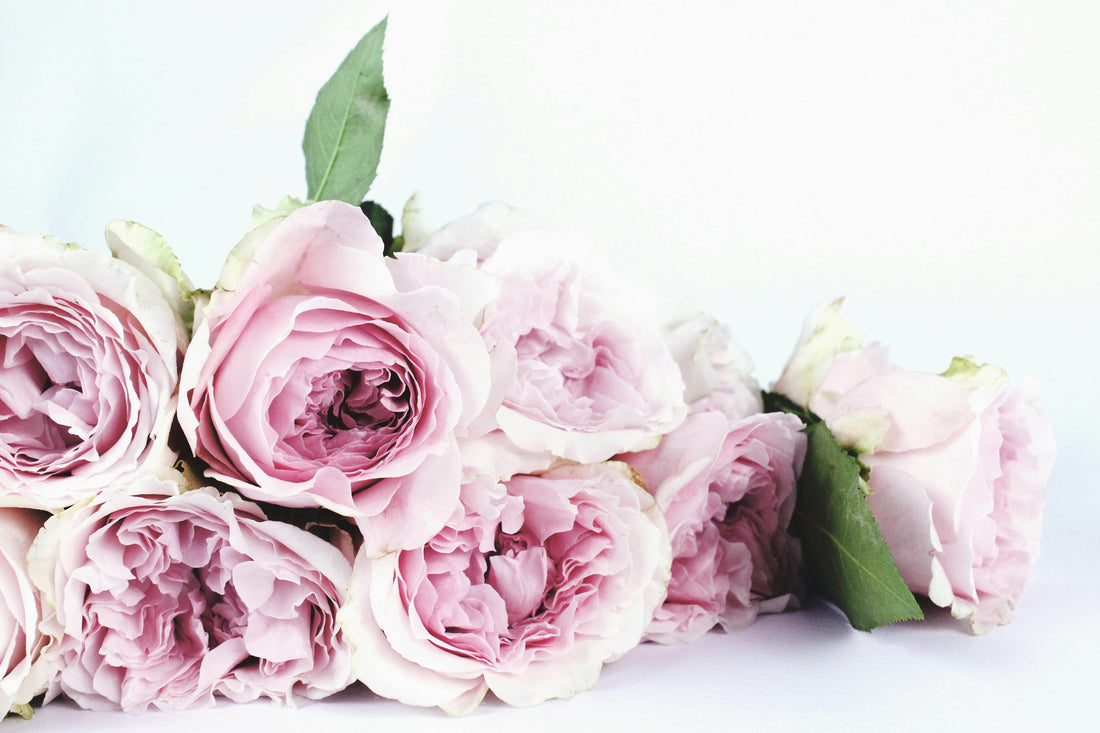 A Mother's Day Tribute: Celebrating with Matcha and Sencha in Japan