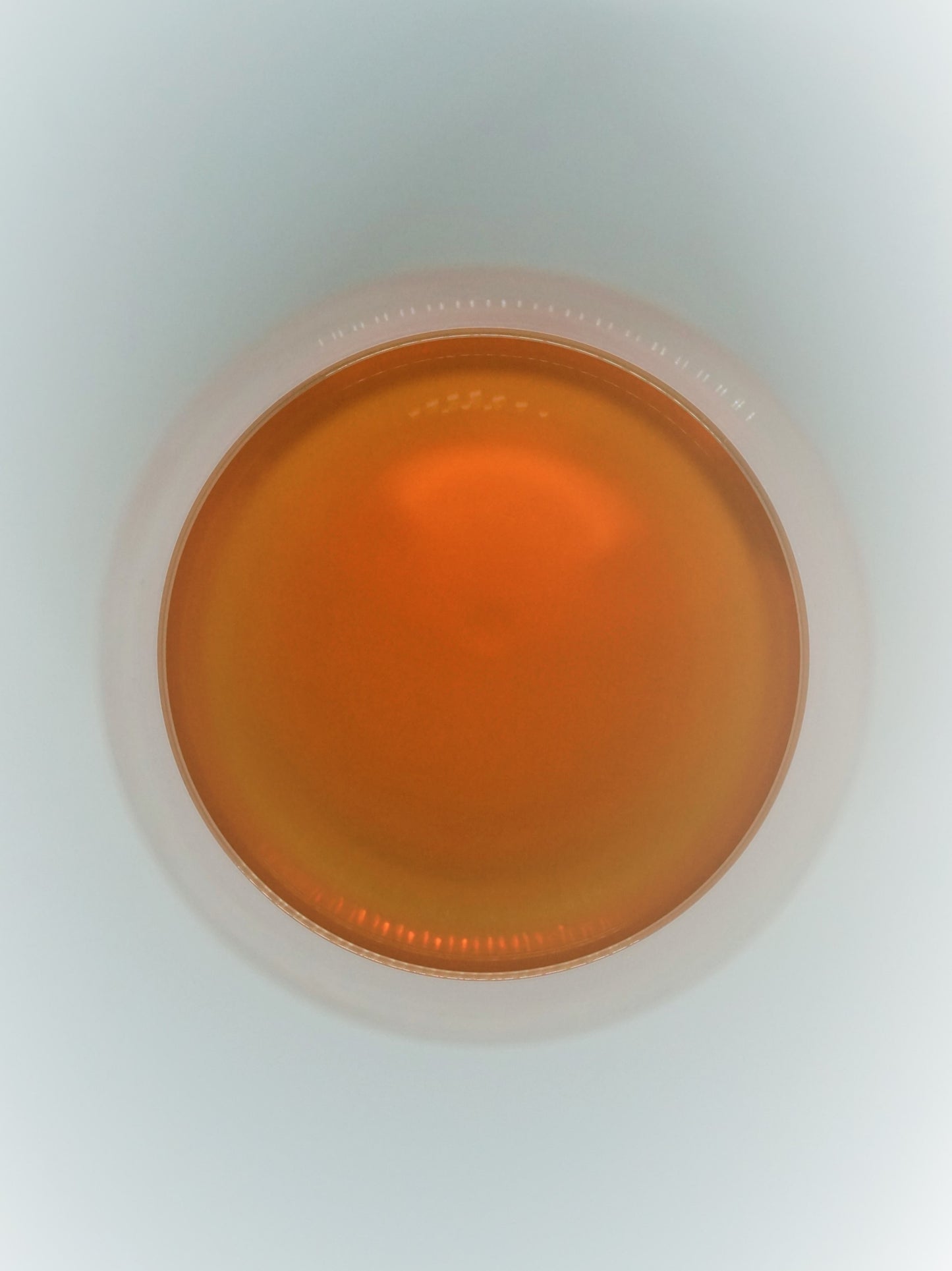Hojicha (ZEN HUT) 100g