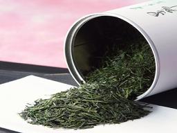 The Incredible Power of Japanese Sencha Tea